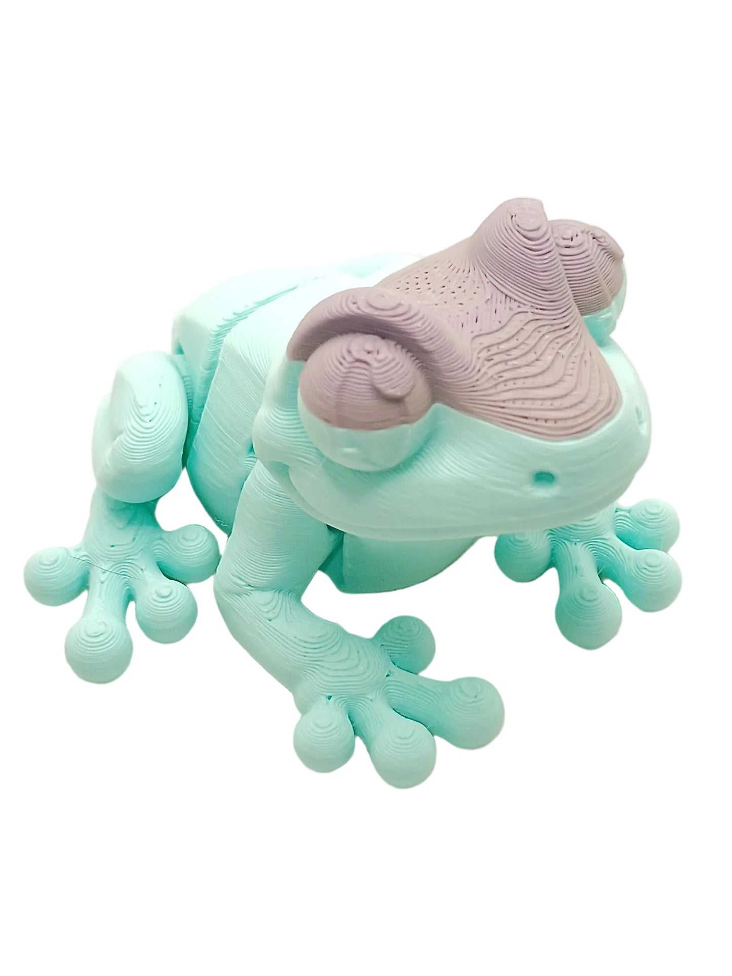 Frogs 3d printed fidget toys