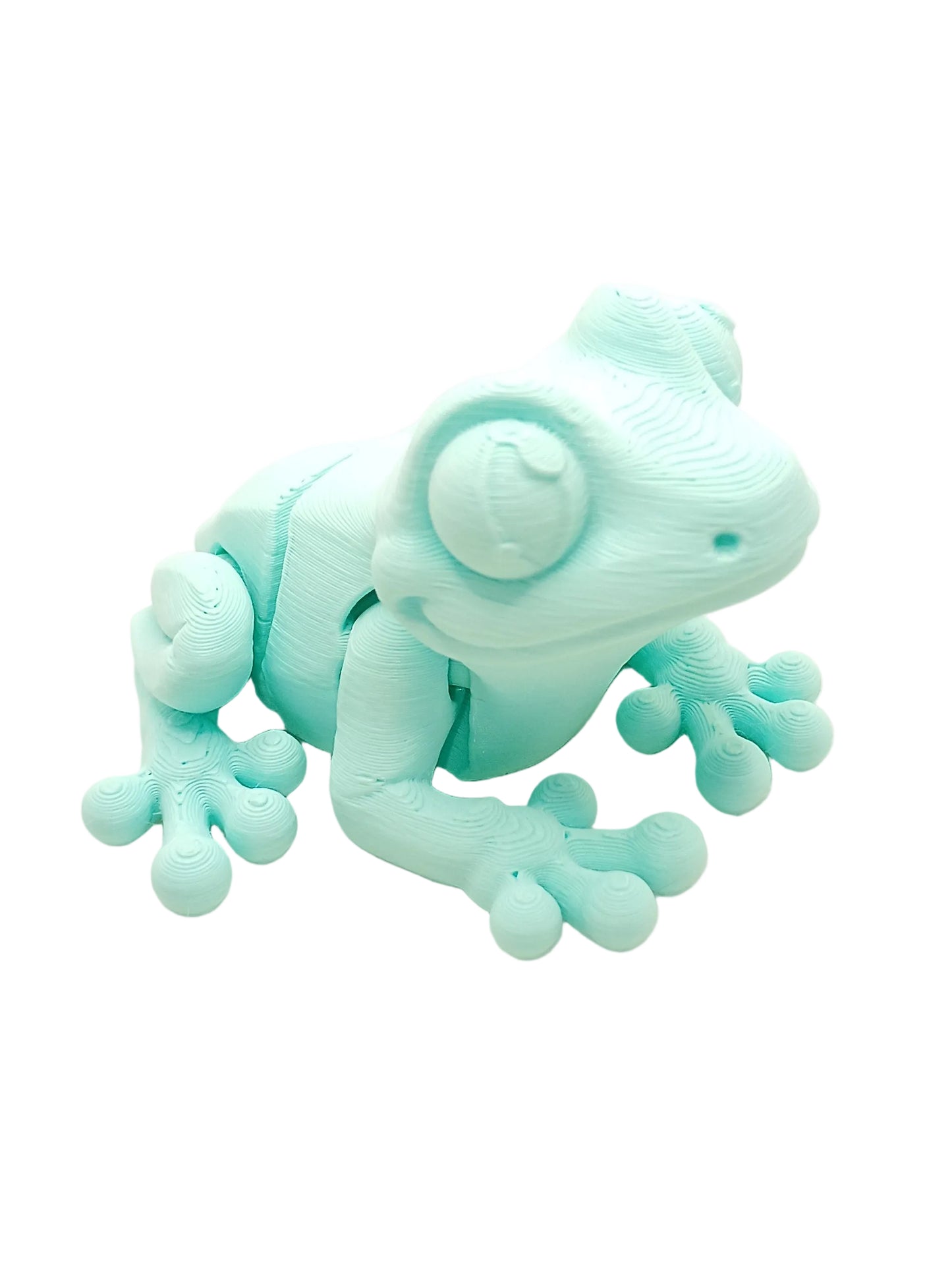 Frogs 3d printed fidget toys