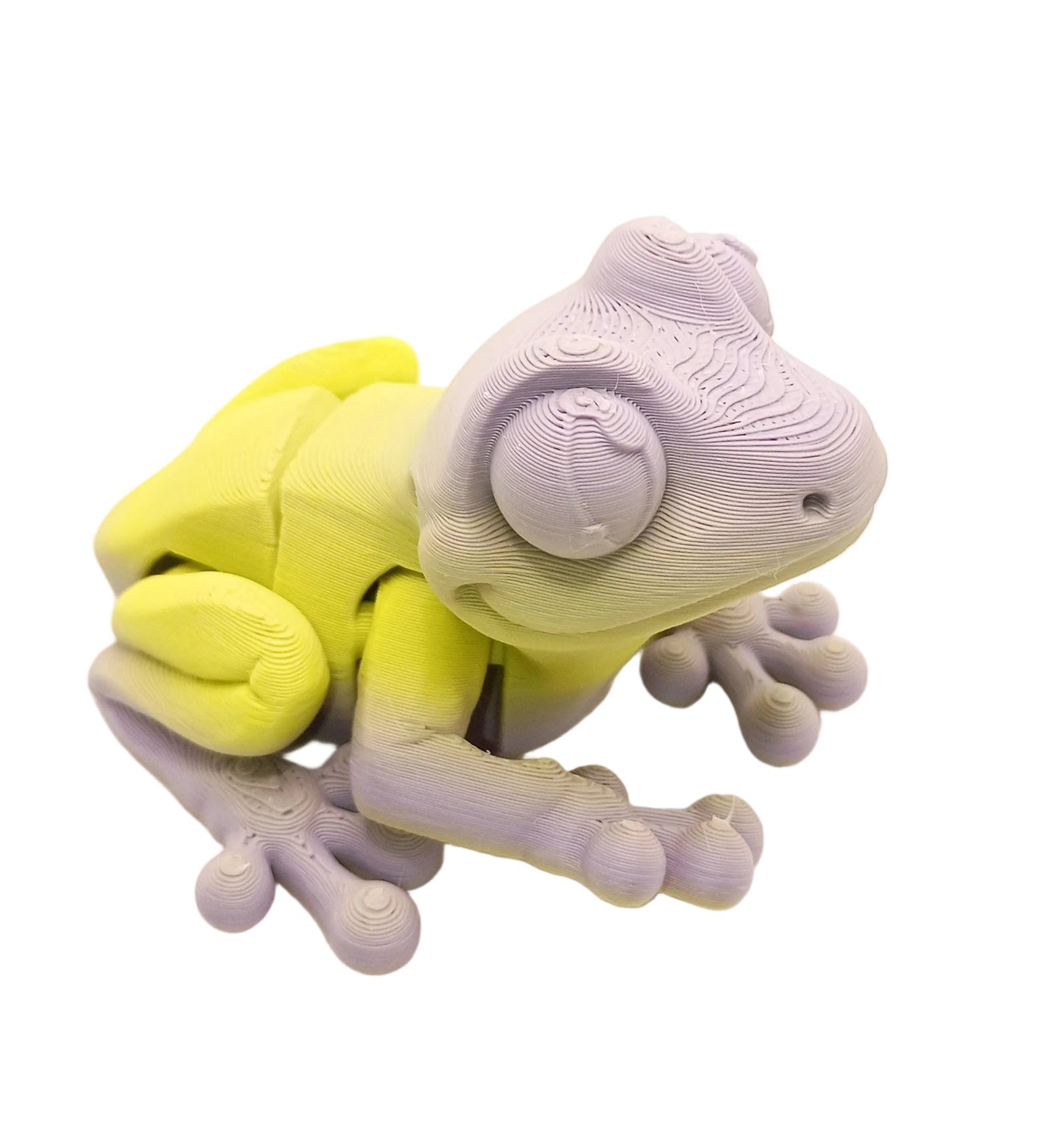 Frogs 3d printed fidget toys